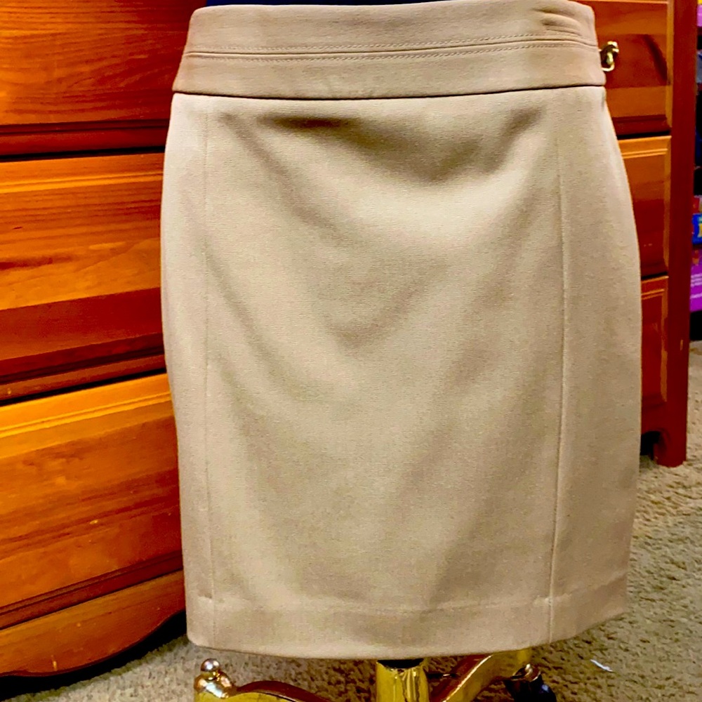 Skirt Size 2